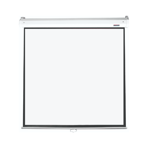 Parrot Pulldown Screen 3050 x 2310mm